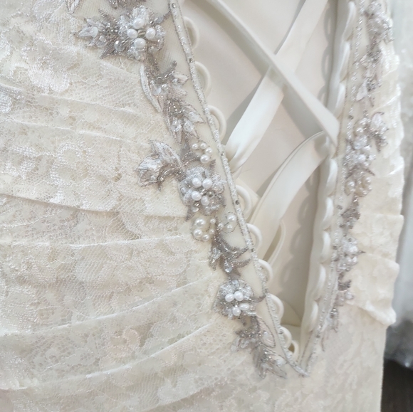 David's Bridal size 4 Wedding Dress With Corset - Picture 14 of 14